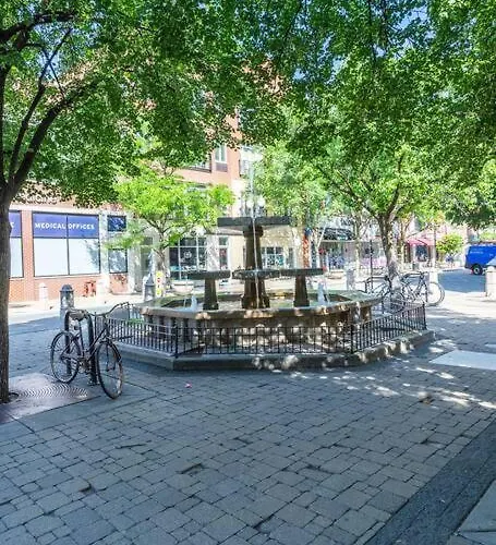 Duplex 3 Bed 2 Bat Steps From Lincoln Square